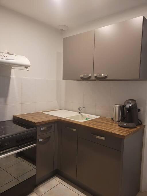 Appartement Sur La Place De Poncin Zewnętrze zdjęcie