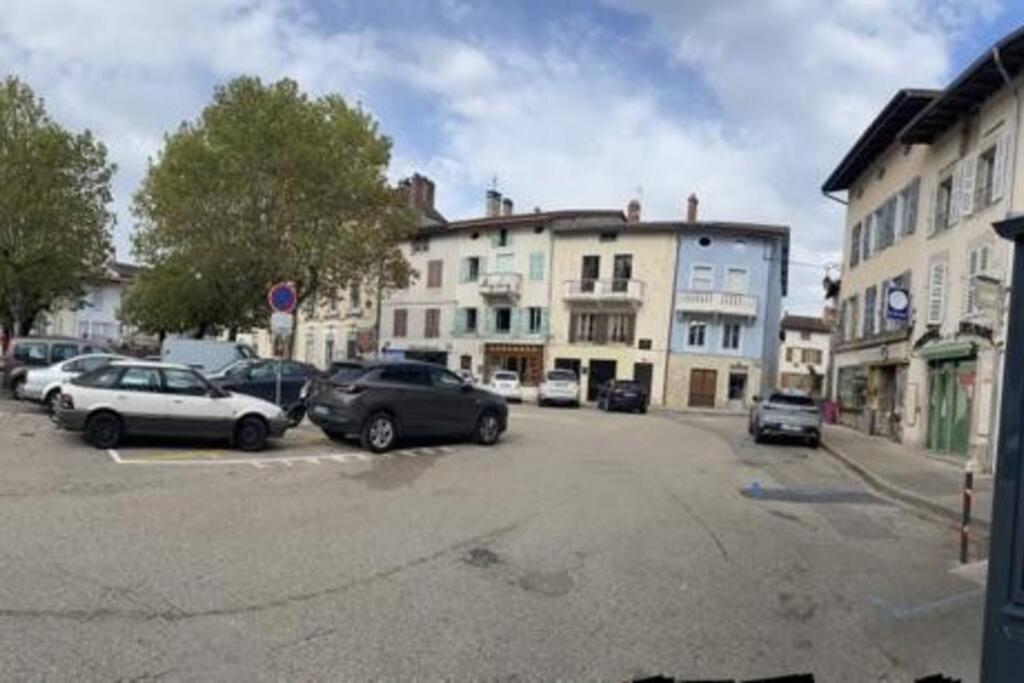 Appartement Sur La Place De Poncin Zewnętrze zdjęcie